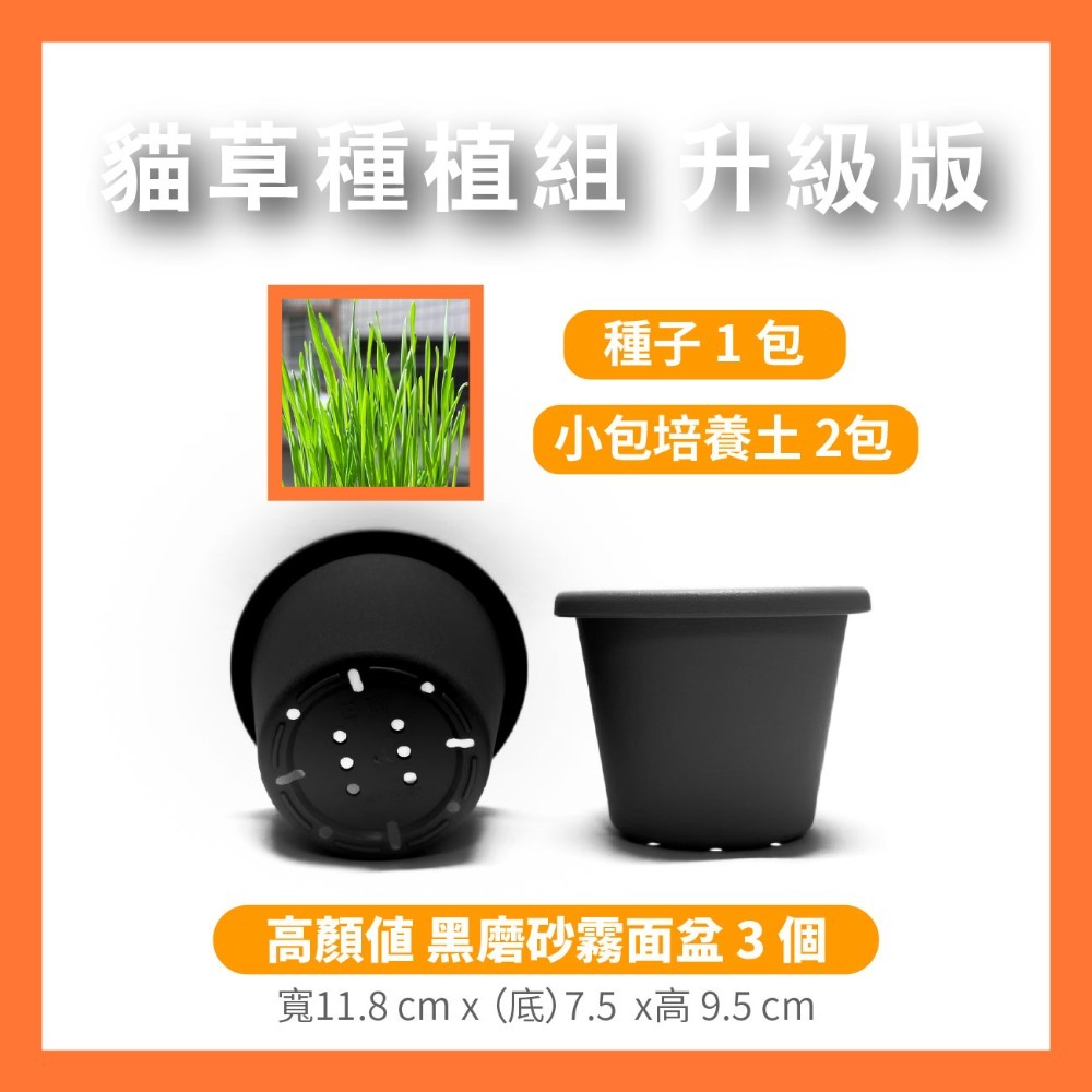 貓草組合盒｜一次三杯的份量｜7天採收｜貓草種子｜貓咪零食｜小麥草種子｜貓草種子｜化毛｜一週可食用｜多次採收｜健康好纖維-規格圖11