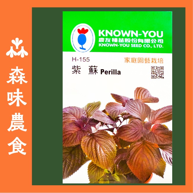紫蘇種子｜紫蘇梅自己種｜自己栽培｜健康蔬菜栽培｜蔬菜種子｜健康生活｜開心農場｜居家種植｜陽台菜園｜廚房香草栽種｜-細節圖2