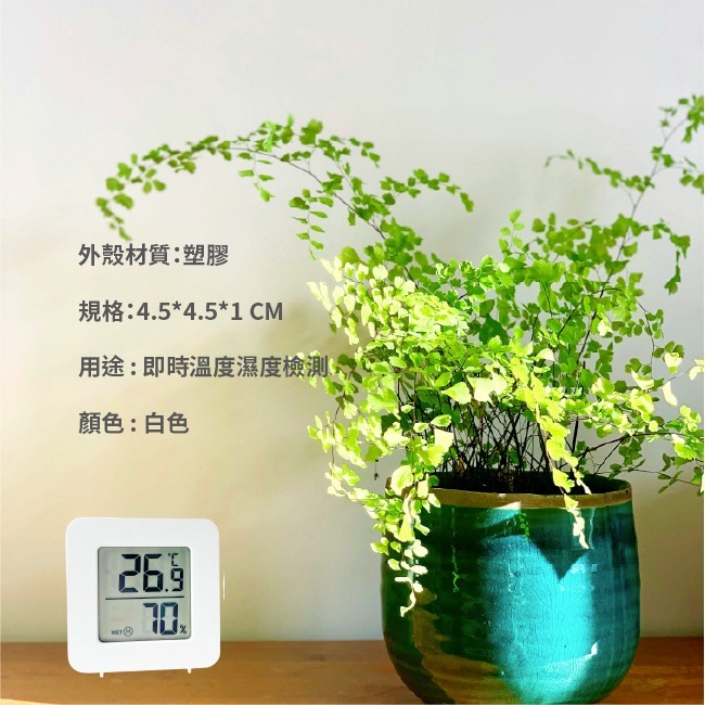 溫溼度計｜濕度檢測｜溫度檢測｜溫室溫溼度｜即時檢測｜溫度計｜園藝濕度｜溫室溫度｜溫室濕度｜可站立｜可黏在牆上-細節圖4