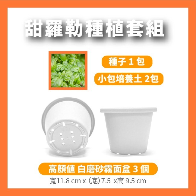 羅勒種子｜甜羅勒種子｜檸檬羅勒種子｜香草種子｜把義大利搬進陽台｜簡單種植｜蔬菜種子｜可陽台種植｜小陽台種植-細節圖8