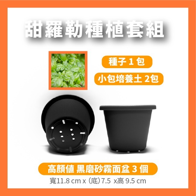 羅勒 栽種合 一組 升級霧黑色栽培盆