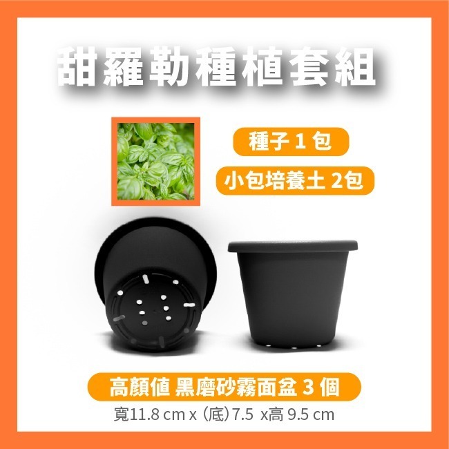 羅勒種子｜甜羅勒種子｜檸檬羅勒種子｜香草種子｜把義大利搬進陽台｜簡單種植｜蔬菜種子｜可陽台種植｜小陽台種植-規格圖8