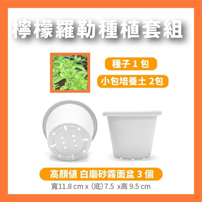 羅勒種子｜甜羅勒種子｜檸檬羅勒種子｜香草種子｜把義大利搬進陽台｜簡單種植｜蔬菜種子｜可陽台種植｜小陽台種植-規格圖8