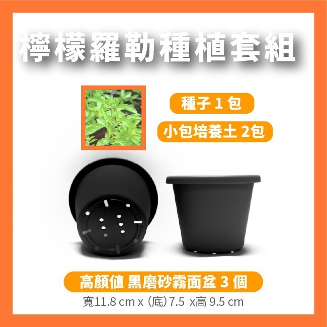 羅勒種子｜甜羅勒種子｜檸檬羅勒種子｜香草種子｜把義大利搬進陽台｜簡單種植｜蔬菜種子｜可陽台種植｜小陽台種植-規格圖8