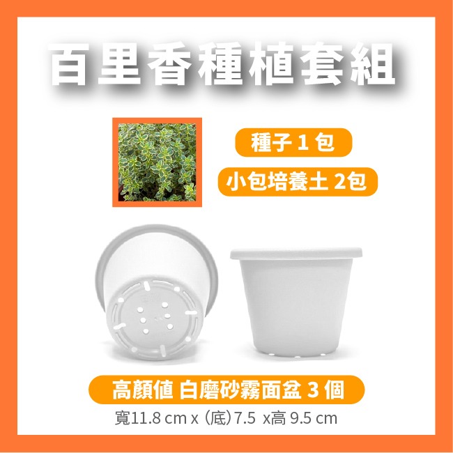 栽種組合 一組 升級【霧面白盆】栽培盆