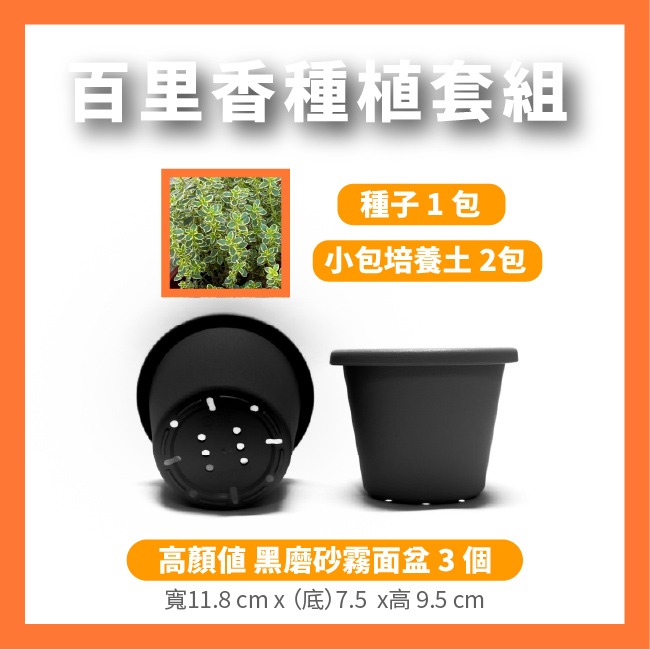 百里香種子400粒｜歐式香料種子｜香草栽培｜香草種子｜簡單種植｜蔬菜種子｜開心農場｜陽台可｜廚房香料園｜非常推薦家庭栽培-規格圖9