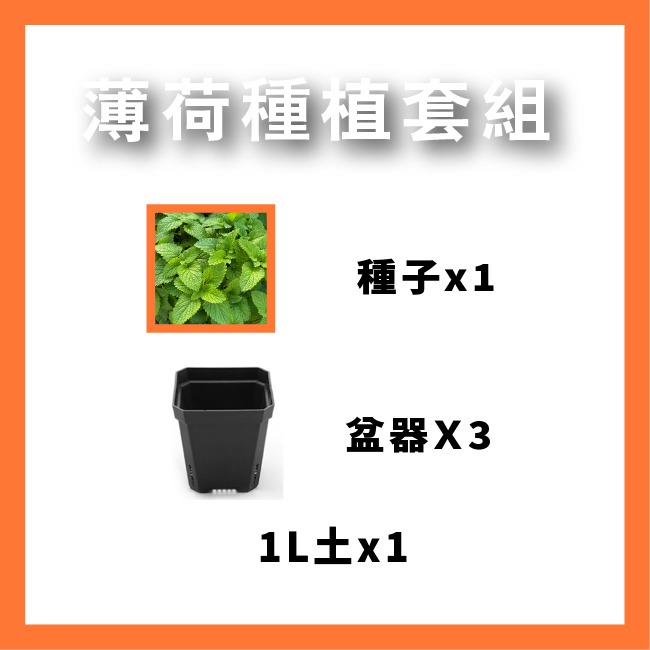 栽種組合 一組