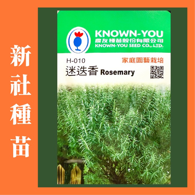 迷迭香種子｜香草種子｜香草自己種｜蔬菜種子｜開心農場｜居家種植｜都市農耕｜蔬菜專業戶｜陽台菜園｜廚房香草栽種｜簡單種植-細節圖4