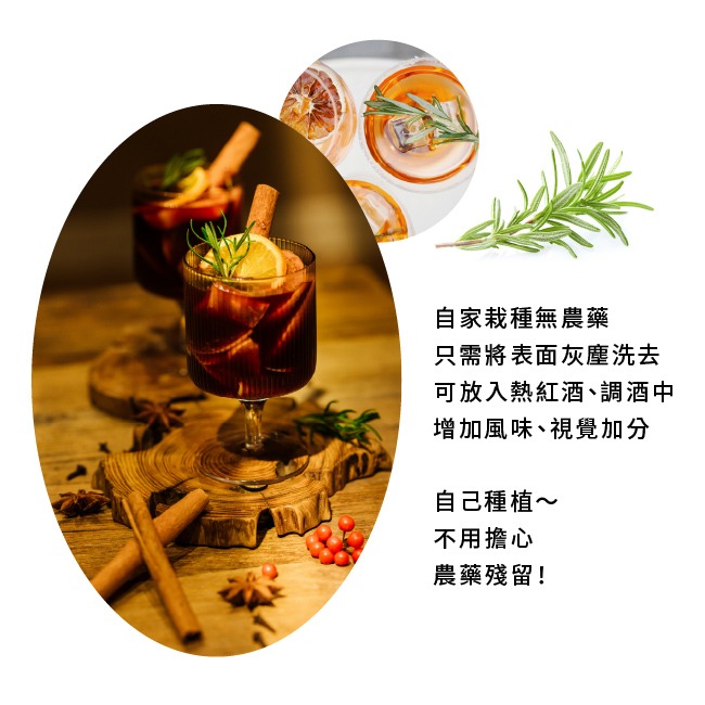 迷迭香種子｜香草種子｜香草自己種｜蔬菜種子｜開心農場｜居家種植｜都市農耕｜蔬菜專業戶｜陽台菜園｜廚房香草栽種｜簡單種植-細節圖7