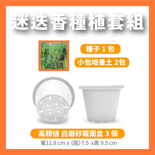 迷迭香種子｜香草種子｜香草自己種｜蔬菜種子｜開心農場｜居家種植｜都市農耕｜蔬菜專業戶｜陽台菜園｜廚房香草栽種｜簡單種植-細節圖8