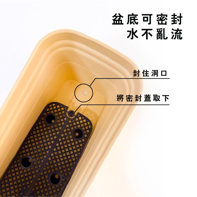 彩陶花盆｜花槽【附底網】種花、種蔬菜｜觀葉植物｜pp盆｜觀葉植物｜蔬菜種植｜園藝資材｜美觀盆｜室內盆｜室外盆｜盆器-細節圖8