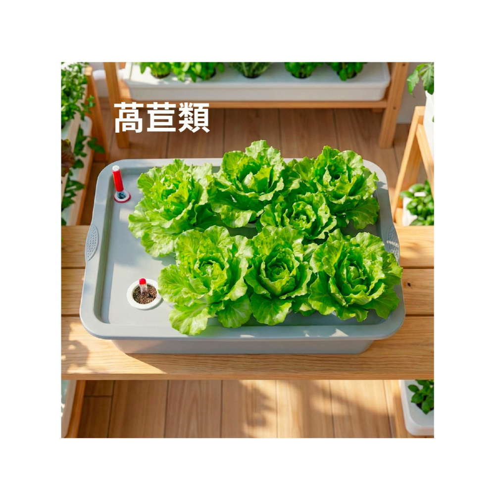 水耕栽培組｜水耕｜水耕蔬菜｜水耕組｜含增氧氣｜水耕設備｜🥬另有兒童教學版，可聊聊索取｜陽台栽培｜蔬菜栽培｜水耕園藝-細節圖3