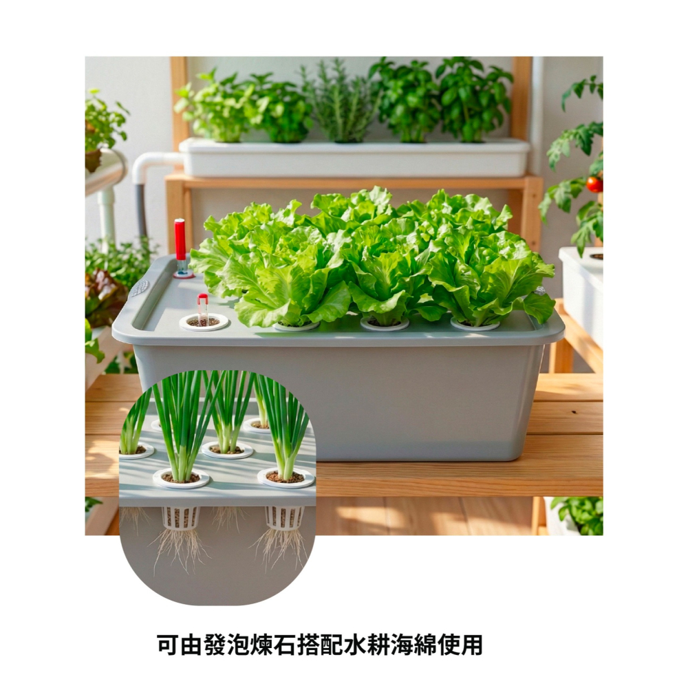水耕栽培組｜水耕｜水耕蔬菜｜水耕組｜含增氧氣｜水耕設備｜🥬另有兒童教學版，可聊聊索取｜陽台栽培｜蔬菜栽培｜水耕園藝-細節圖4
