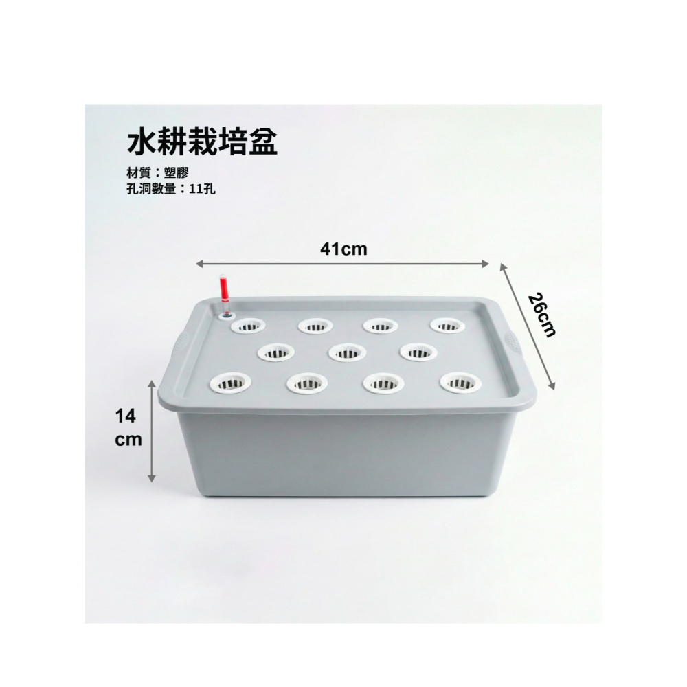 水耕栽培組｜水耕｜水耕蔬菜｜水耕組｜含增氧氣｜水耕設備｜🥬另有兒童教學版，可聊聊索取｜陽台栽培｜蔬菜栽培｜水耕園藝-細節圖5