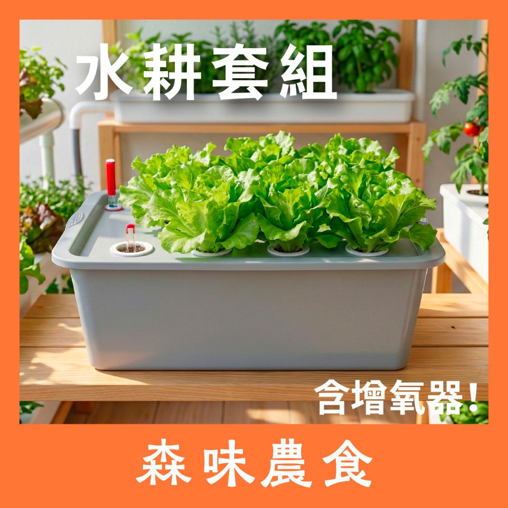 水耕栽培組｜水耕｜水耕蔬菜｜水耕組｜含增氧氣｜水耕設備｜🥬另有兒童教學版，可聊聊索取｜陽台栽培｜蔬菜栽培｜水耕園藝-規格圖7