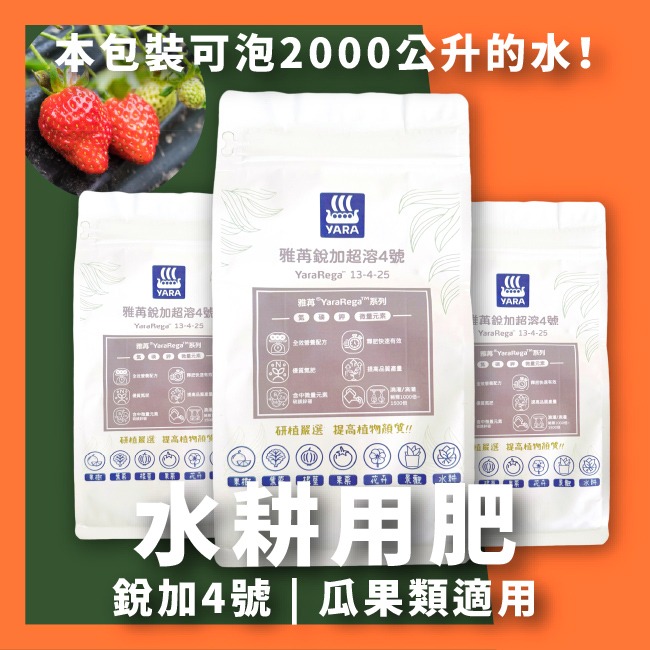 水耕栽培組｜水耕｜水耕蔬菜｜水耕組｜含增氧氣｜水耕設備｜🥬另有兒童教學版，可聊聊索取｜陽台栽培｜蔬菜栽培｜水耕園藝-規格圖7