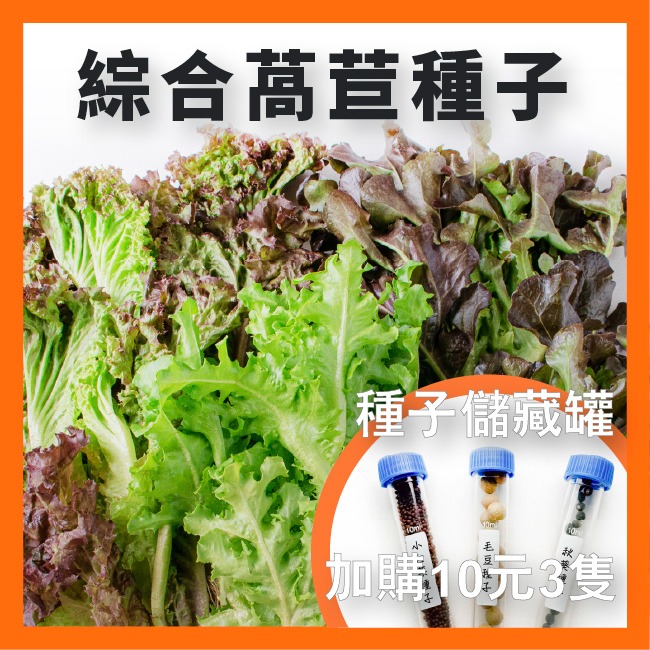 綜合生菜萵苣種子｜紅卷萵苣｜綠橡木萵苣｜鹿角萵苣｜綠色橡木萵苣｜奶油萵苣｜火焰萵苣｜甜蘿蔓｜陽台菜園｜綜合萵苣組合-規格圖11