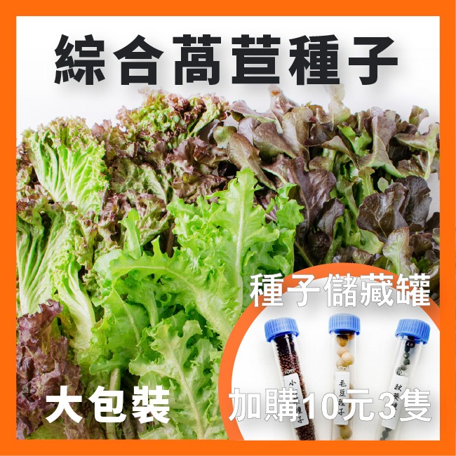 綜合生菜萵苣種子｜紅卷萵苣｜綠橡木萵苣｜鹿角萵苣｜綠色橡木萵苣｜奶油萵苣｜火焰萵苣｜甜蘿蔓｜陽台菜園｜綜合萵苣組合-規格圖11