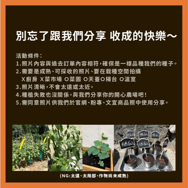 三色菫種子｜10天發芽｜可食用花｜陽台小花圃｜花卉種子｜超美綜合花種子｜開心農場｜花卉｜花台｜在陽台種花｜種花｜花種子-細節圖9