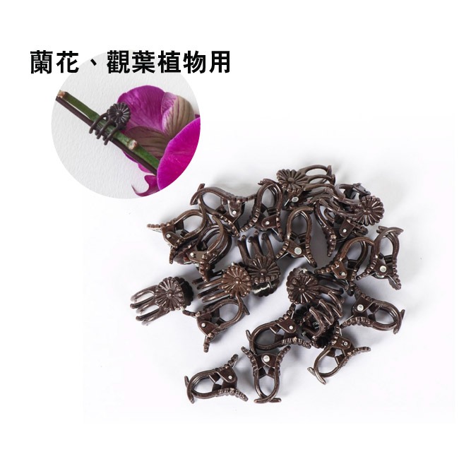 植物固定支撐桿｜蘭花支架｜金屬支架 可彎曲｜茄子支架｜觀葉植物支架｜辣椒支架｜蔬菜種子｜蘭花鐵絲｜園藝鐵絲｜開心農場-細節圖7