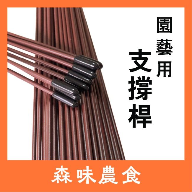 80cm 10隻 （送10個保護頭）