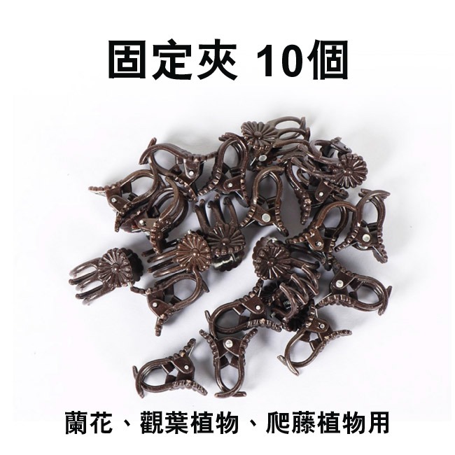 固定夾 10個（蘭花用）