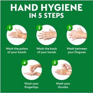 【Dettol 滴露】洗手乳補充包-松木經典(750ml)-2619-細節圖2