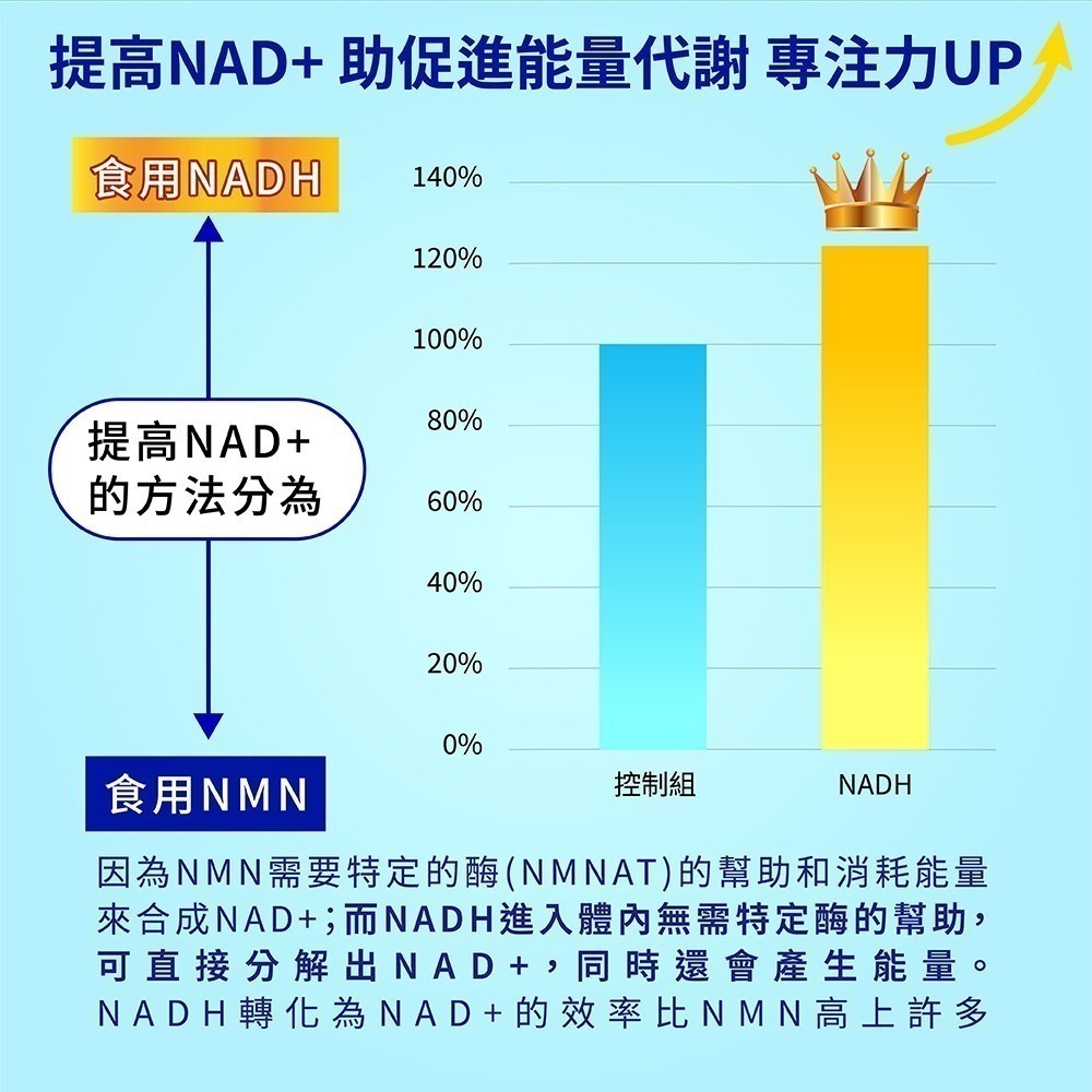 NADH錠 30錠/瓶⚜太田森一 專利微囊化 PANMOL® 黃耆三七萃取物 γ-穀維素 瓜拿納萃取物 21X PLUS-細節圖4