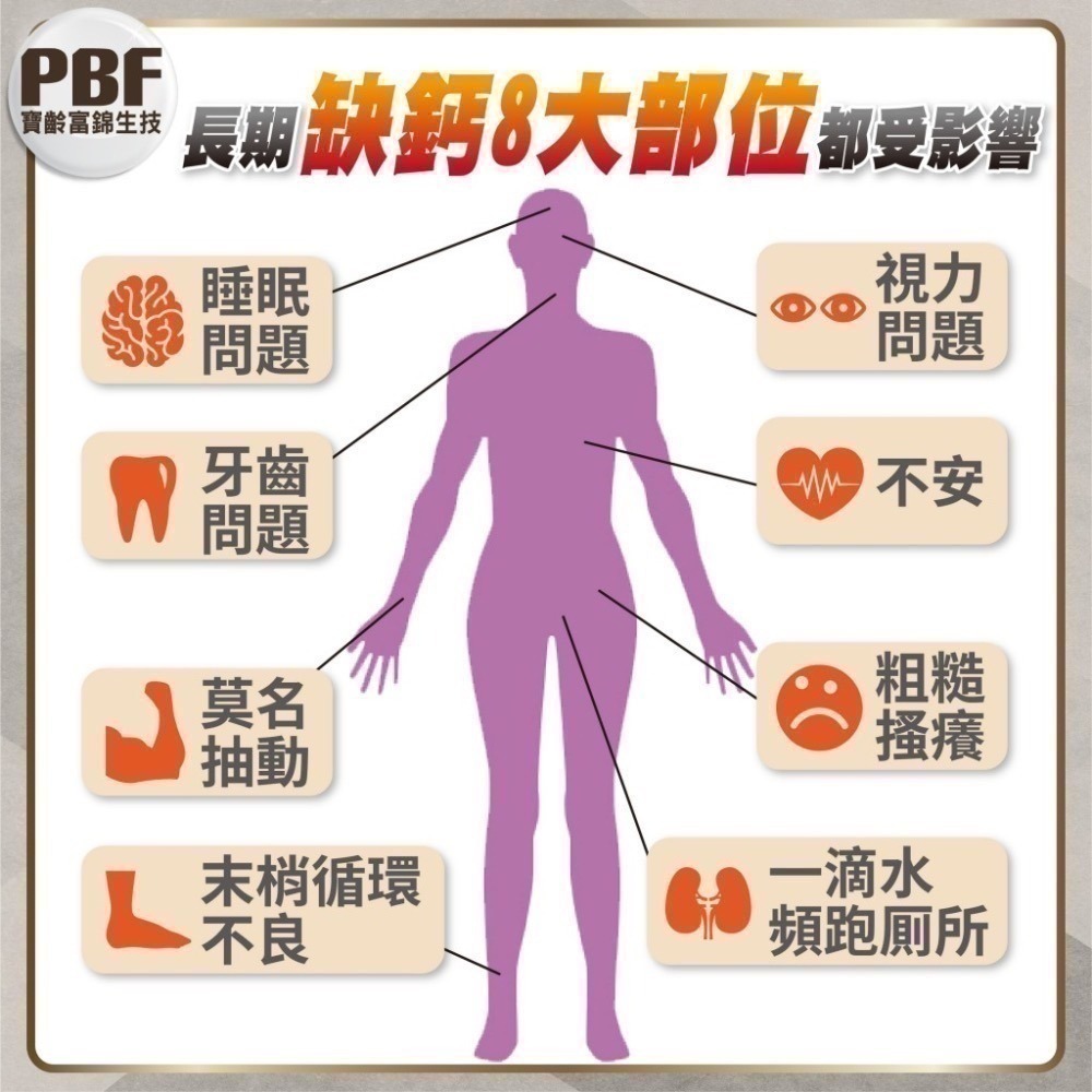 挺力鈣 30錠/盒⚜️PBF 寶齡富錦 螯合滋固加強錠 螯合鈣 維生素K 維生素D 礦物質 硼 甘胺酸鈣-細節圖5