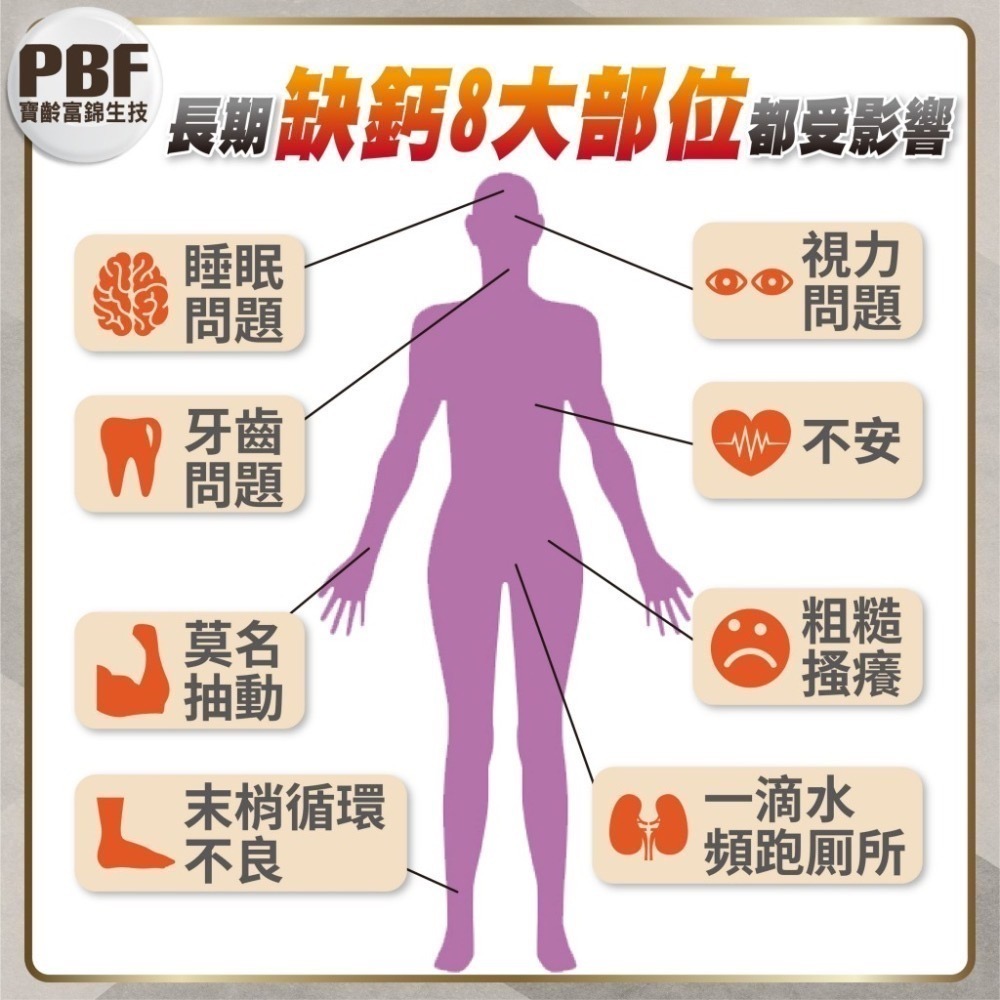 挺力鈣 30錠/盒⚜️PBF 寶齡富錦 螯合滋固加強錠 螯合鈣 維生素K 維生素D 礦物質 硼 甘胺酸鈣-細節圖6