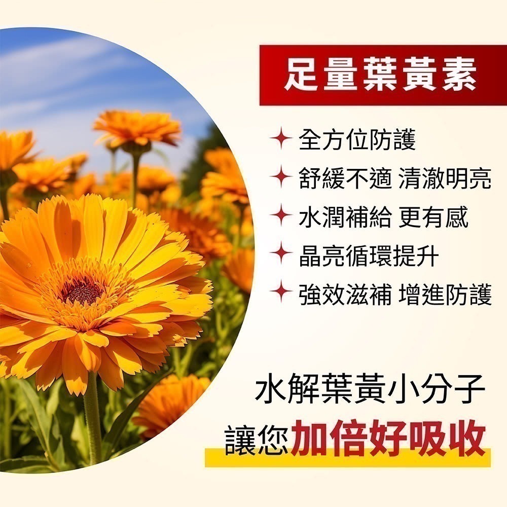 視飛能EX 舌下口含錠 增量版 150錠/盒⚜太田森一 日本獨家授權 金盞花萃取 葉黃素 山桑子萃取 水解綠薄荷 番紅花-細節圖4