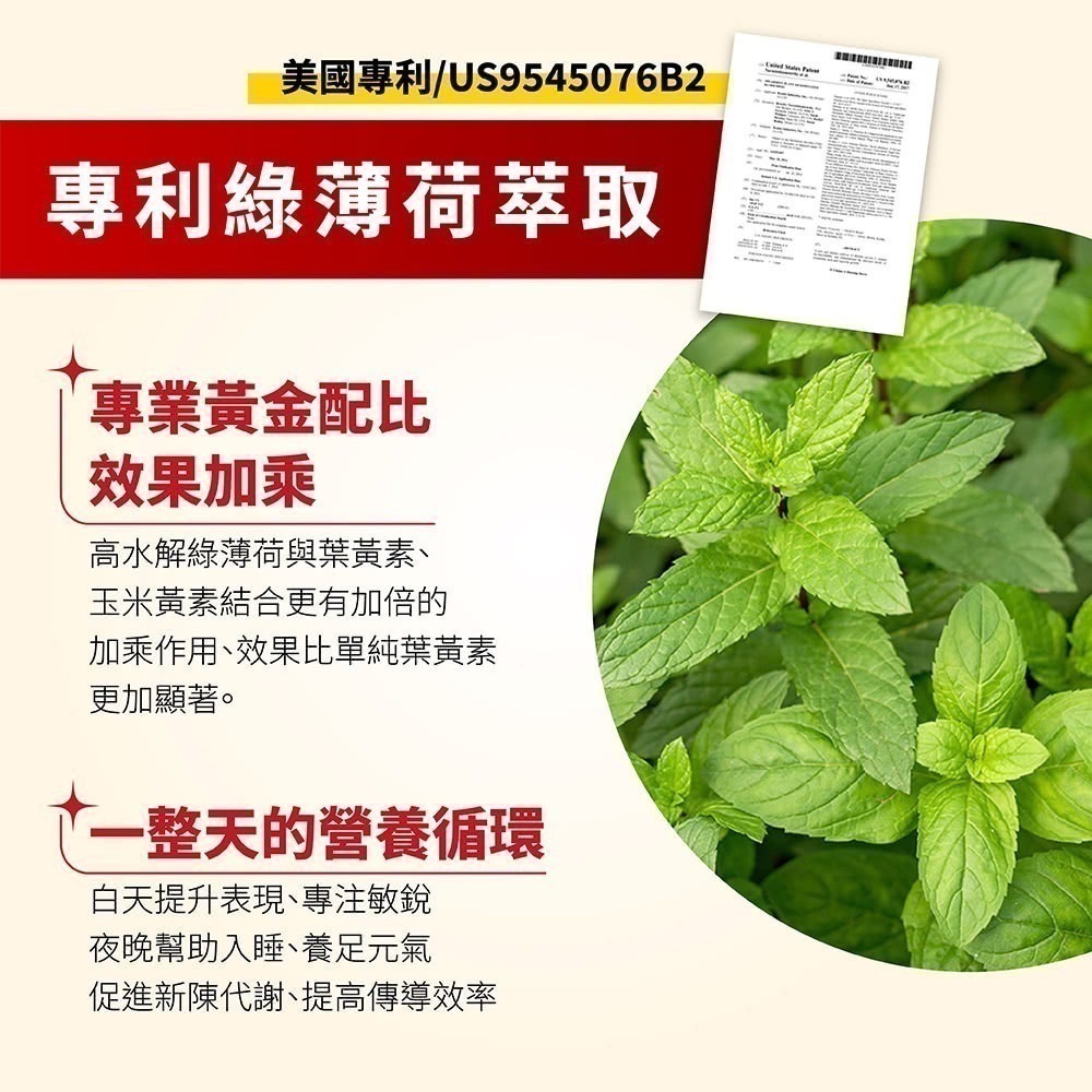 視飛能EX 舌下口含錠 增量版 150錠/盒⚜太田森一 日本獨家授權 金盞花萃取 葉黃素 山桑子萃取 水解綠薄荷 番紅花-細節圖5