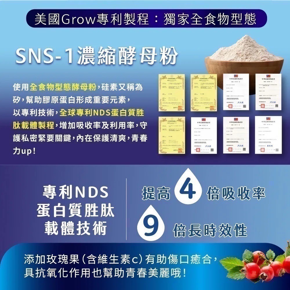 鎖泌寧 30顆/盒⚜️NEW LIFE 專利硅素精萃 美國諾貝爾胜肽技術 SNS-1 濃縮酵母粉 玫瑰果萃取物 維生素C-細節圖3