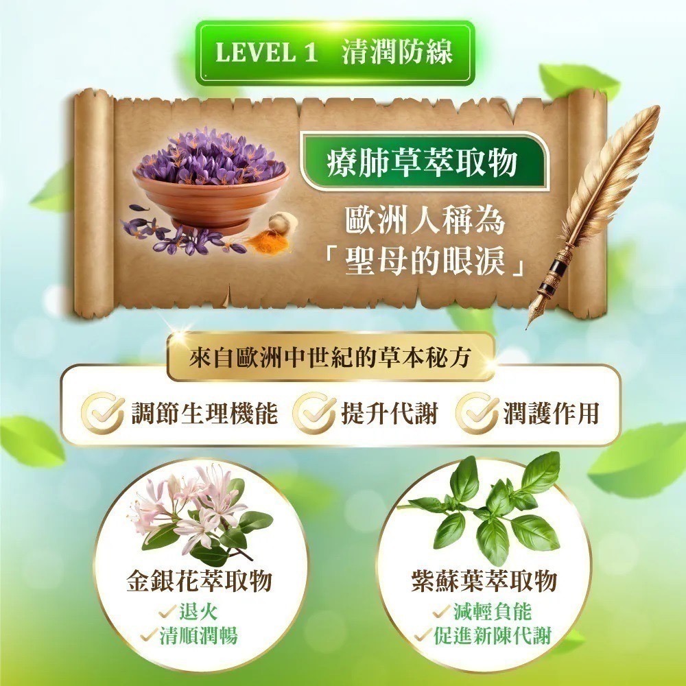 專利療肺草浸潤飲 2代升級版 10包/盒⚜️NEW LIFE 金銀花 綠茶 蛹蟲草 發酵紅蔘 β-葡聚醣 靈芝 褐藻醣膠-細節圖2