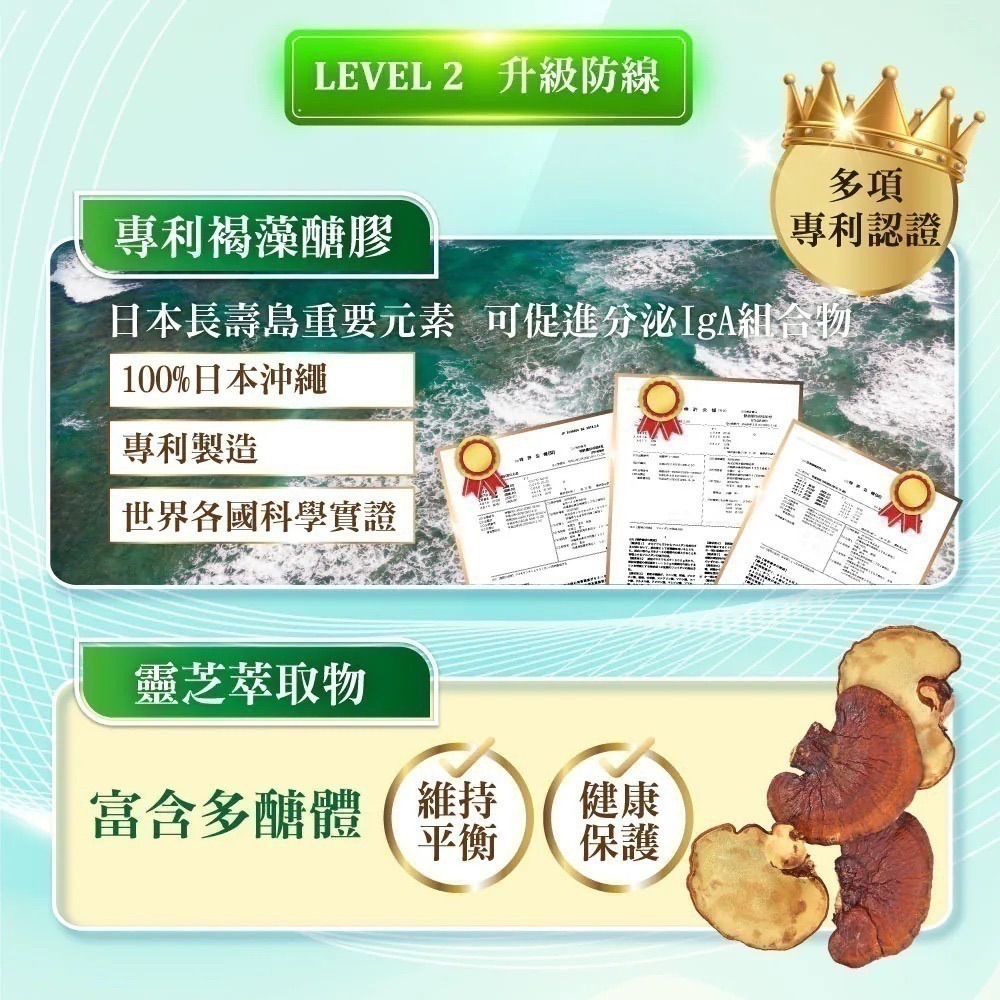 專利療肺草浸潤飲 2代升級版 10包/盒⚜️NEW LIFE 金銀花 綠茶 蛹蟲草 發酵紅蔘 β-葡聚醣 靈芝 褐藻醣膠-細節圖3
