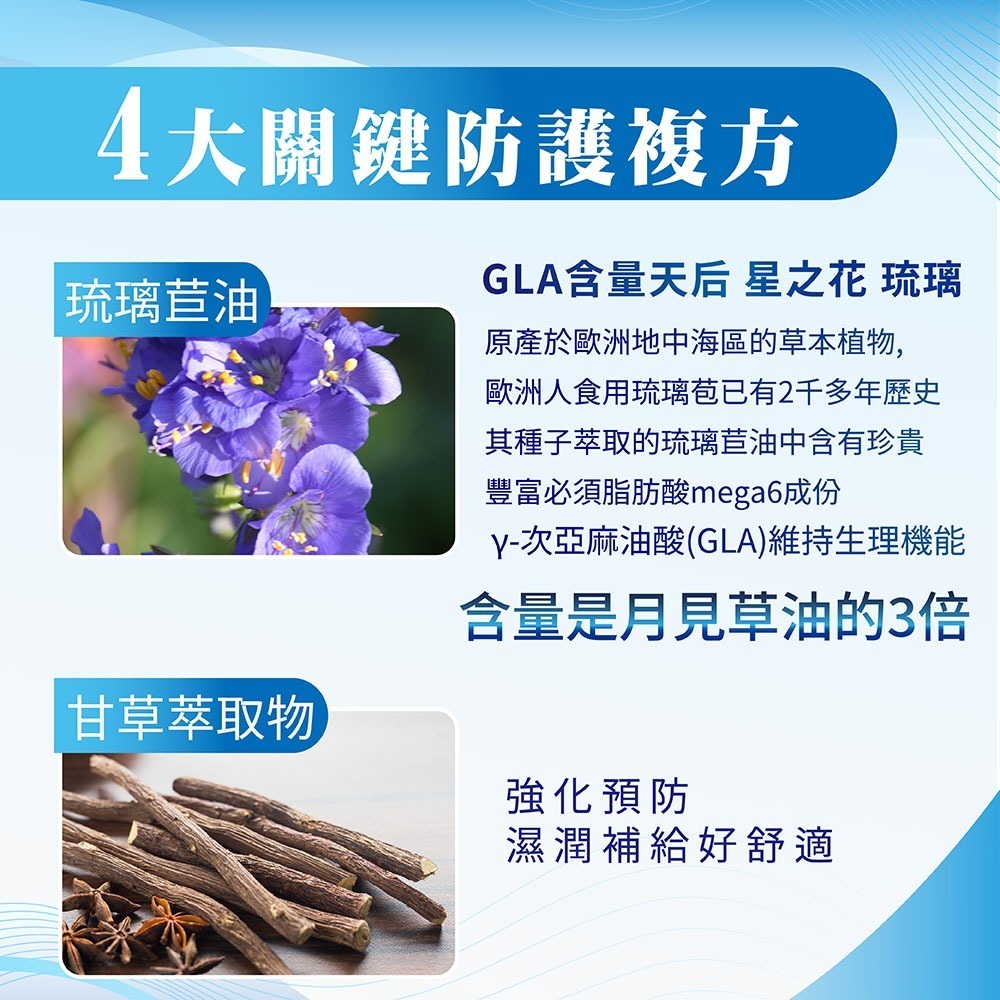 呀口樂PLUS口含錠 30錠/盒⚜MURAD 穆拉德 外密體2倍加強 EXO-CGF™ 小球藻 桑黃菌絲體 琉璃苣油油粉-細節圖8