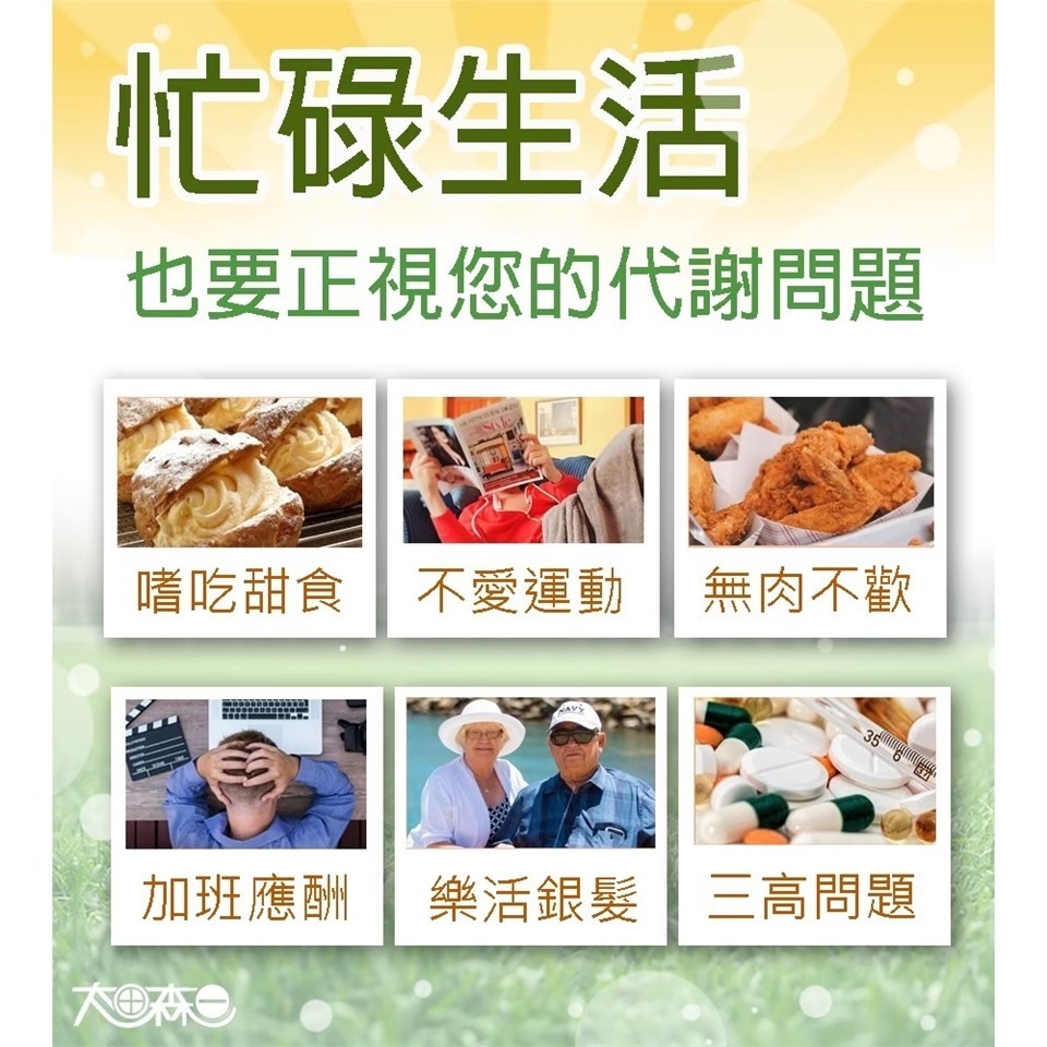 抗醣盾EX素食膠囊 30顆/盒⚜太田森一 專利Fibersol® 山竹萃取物 專利山苦瓜 苦瓜多肽PPK 瓜拿那 松樹皮-細節圖7