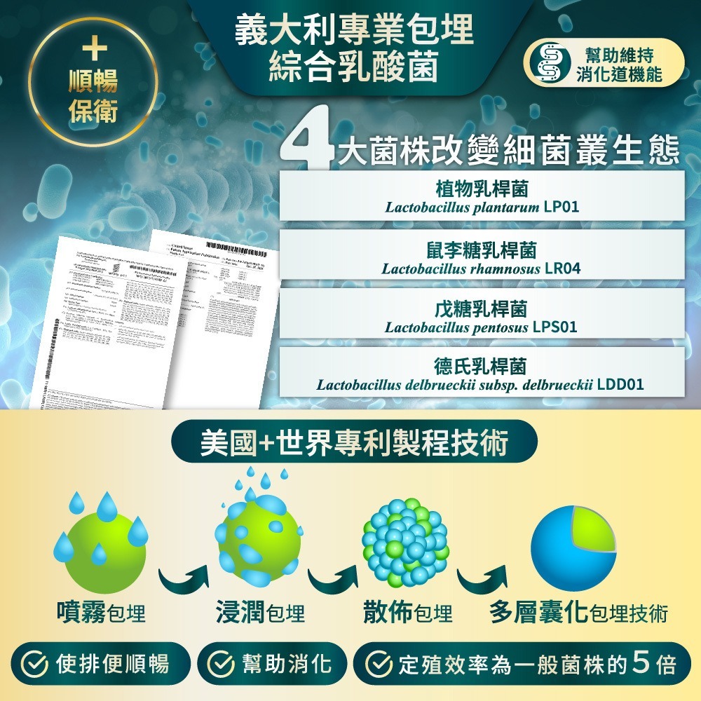 強衛Plus+ 增量版 150顆⚜NEW LIFE 專利FenuLife® 葫蘆巴 素食膠囊 升級版 高麗菜 秋葵 牛蒡-細節圖3