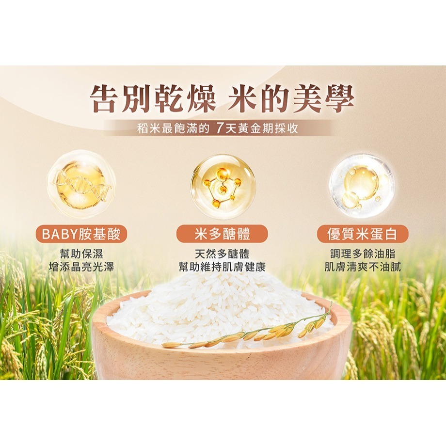 植萃光感防曬粉底液 30ml⚜️日本米之姬 SPF50+★★★★ Kome No Hime 日本吉野櫻 雪花蓮 米多醣體-細節圖5