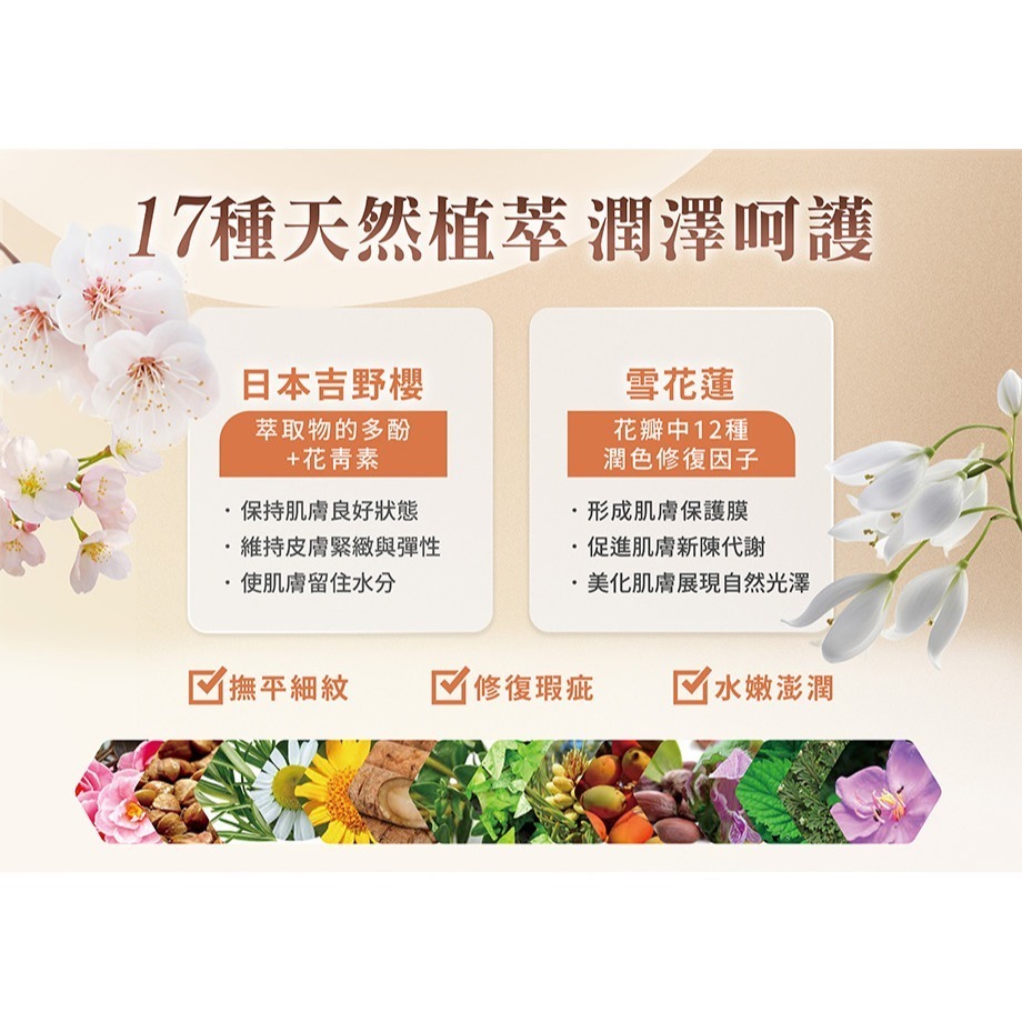 植萃光感防曬粉底液 30ml⚜️日本米之姬 SPF50+★★★★ Kome No Hime 日本吉野櫻 雪花蓮 米多醣體-細節圖7