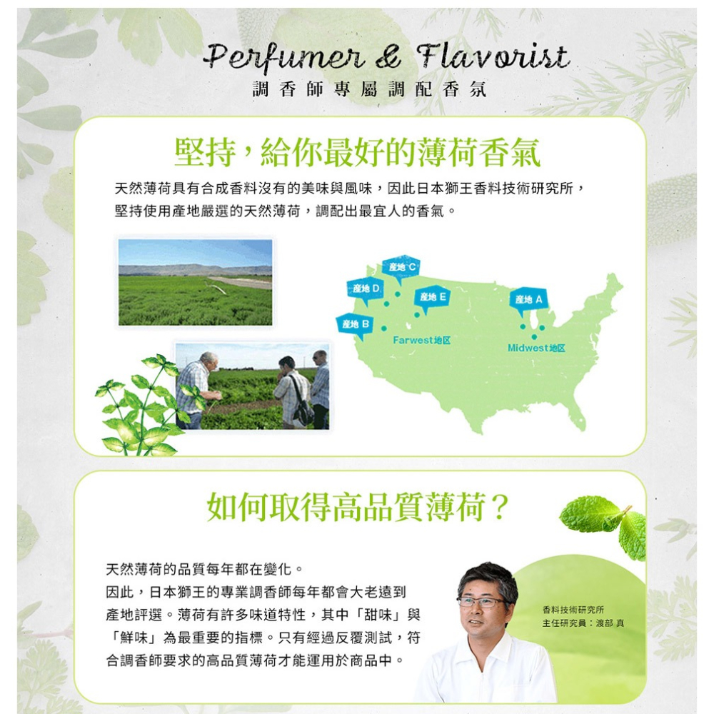 固齒佳PRO酵素亮白牙膏 95g⚜️LION 獅王 覆盆莓薄荷 極上亮白美齒 雙A淨白微粒 獨特高密著氟素 日本原裝進口-細節圖9