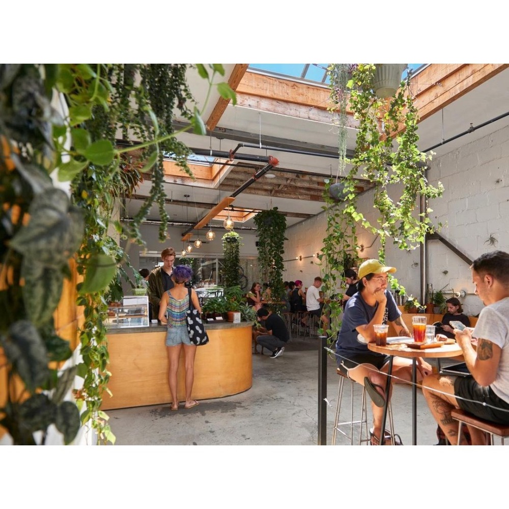 【紐約精品咖啡烘焙名店Sey Coffee】厄瓜多│洛哈│馬利沙·多塔│美荷拉朵│水洗-細節圖4