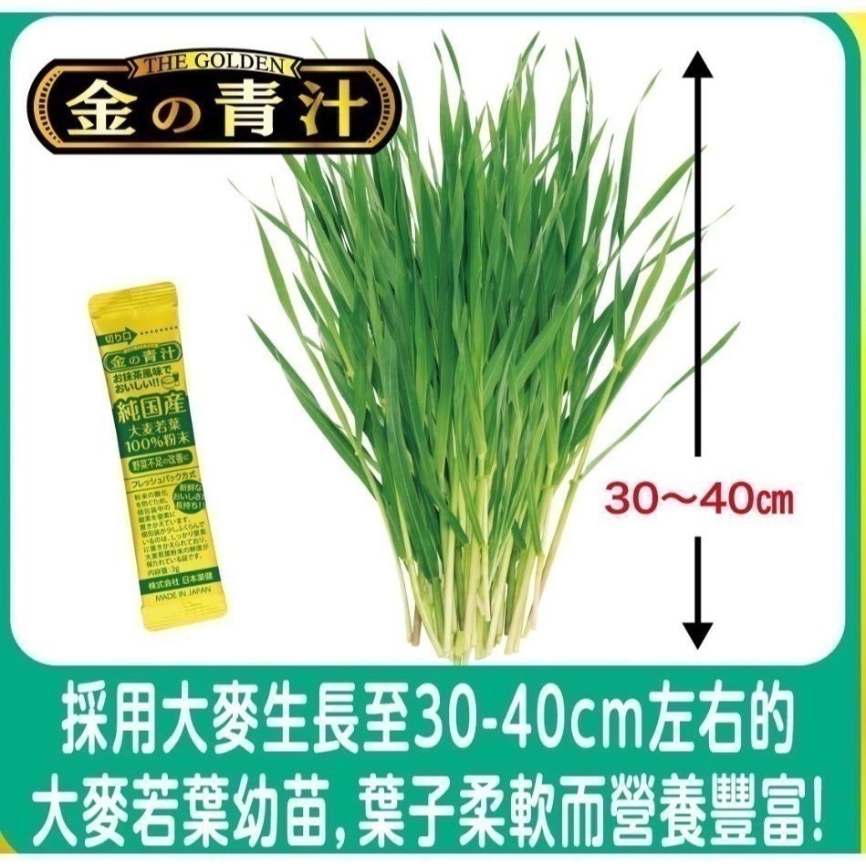 0412-保健館-The Golden 大麥若葉 青汁 粉末 3公克 X 176包 (揪樂聚-好市多代購)-細節圖4