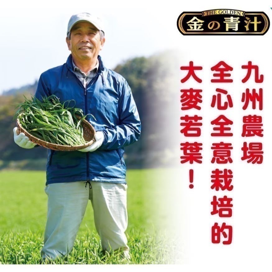 0927-保健館-The Golden 大麥若葉 青汁 粉末 3公克 X 176包 567872-細節圖2