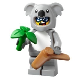 【林口吳凱文∣單售】全新 LEGO 71051 樂高 第28代 抽抽樂系列 單盒販售 樂高人偶 動物人偶包-規格圖11