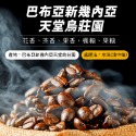 『手作溫度咖啡』巴布亞新幾內亞 天堂鳥莊園 水洗AA 精品咖啡豆 淺中焙-規格圖3