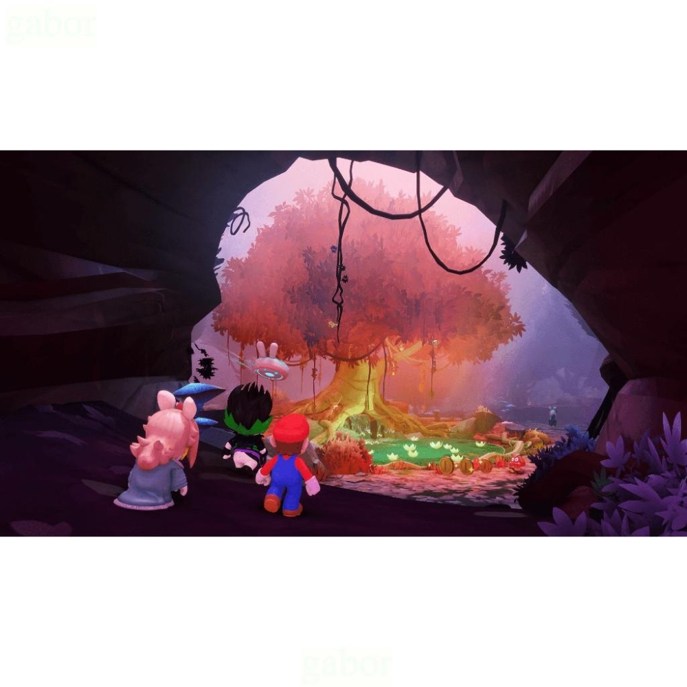 【八米蔚藍】NS Switch 瑪利歐+瘋狂兔子 希望之星 宇宙版 黃金版 中文版-細節圖7