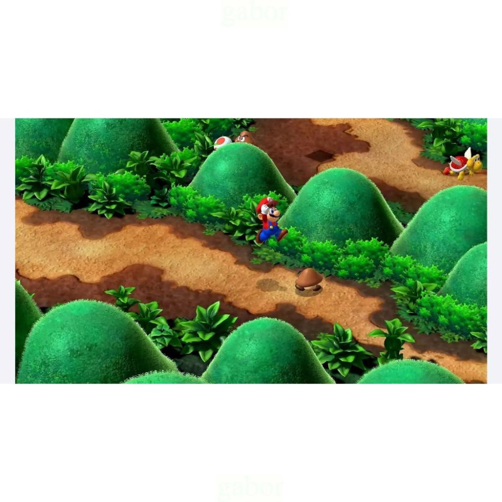 【八米蔚藍】任天堂 NS Switch 超級瑪利歐 RPG 中文版-細節圖5