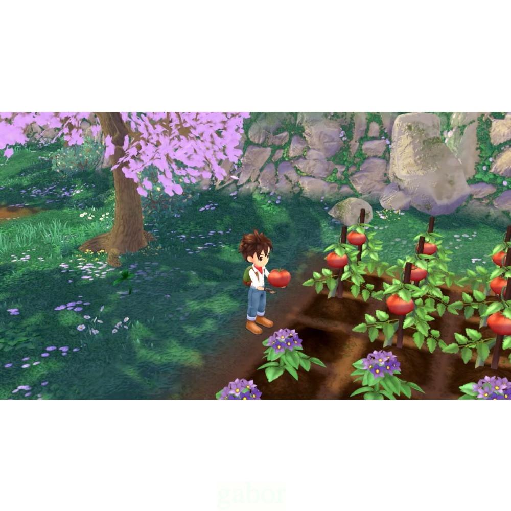 【八米蔚藍】 任天堂 NS Switch 牧場物語 Welcome 美麗人生 中文版-細節圖2