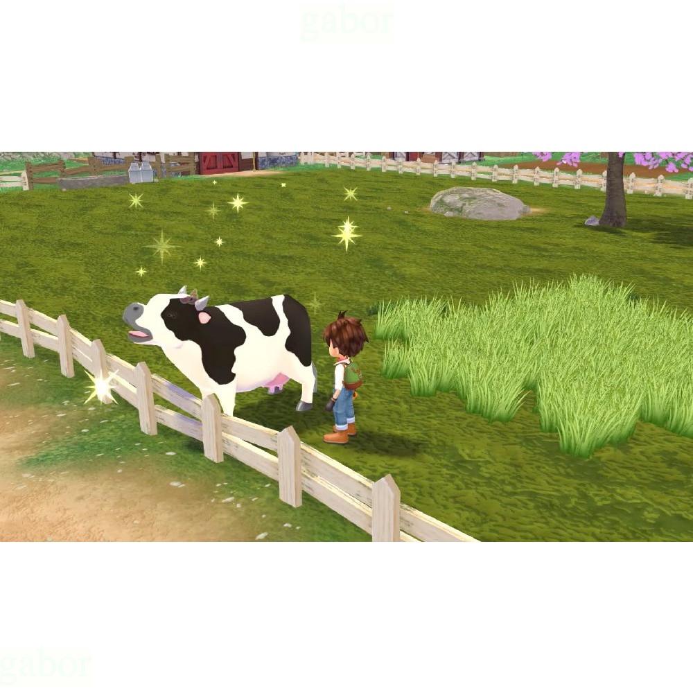 【八米蔚藍】 任天堂 NS Switch 牧場物語 Welcome 美麗人生 中文版-細節圖3